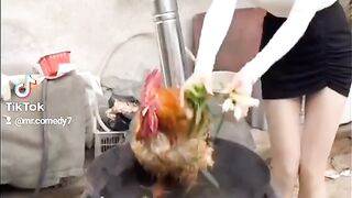 বাংলা কমেডি ভিডিও