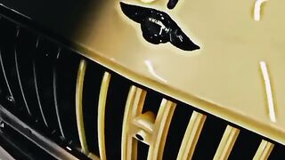 Car love you viral video like page