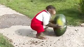 Funny video monkey