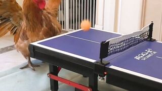 Very funny game you can Entertainment this video