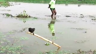 Talented boy catching bird