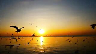 Hello every one????????
