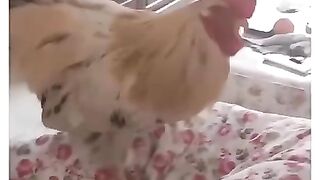 The Nature Alarm
