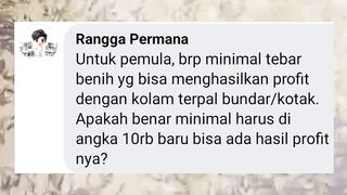 Berapa jumlah TEBAR bibit lele untuk PEMULA yang bisa menghasilkan PROFIT❓Apakah benar minimal 10rb ekor baru bisa UNTUNG❓