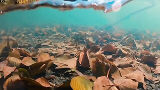 Silent mode of water