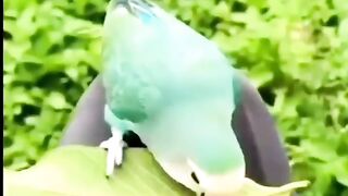 هذا صنع الخالق