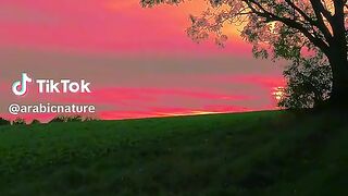 The naturalness of the organ