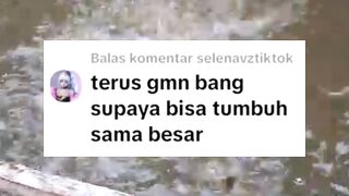 Bagaimana cara agar IKAN LELE tumbuh sama rata sampai panen