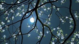 Beautiful