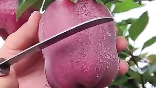 فواكه غريبة