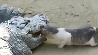 Funny