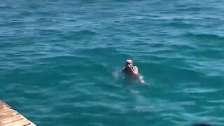 Funny videos