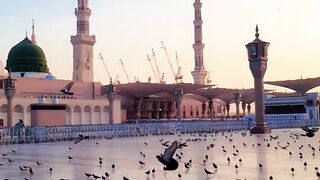 المدينه المنوره