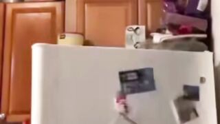 #funny #comedy