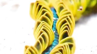 sea-life