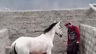 The horse