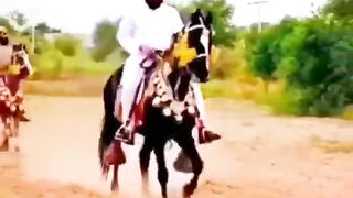 Saad hussian rizvi