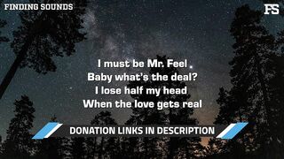 John Michael Howell - Mr. Feel (Lyrics)