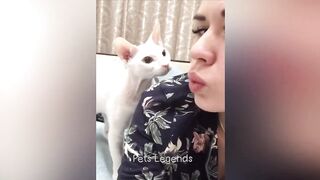 Funny Vedio of Animals