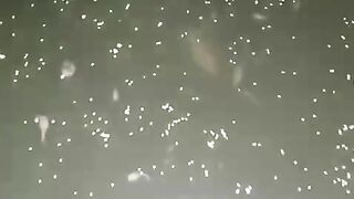 Jangan memberi pakan seperti ini❗Jika ikan lele lagi malas makan segera stop
