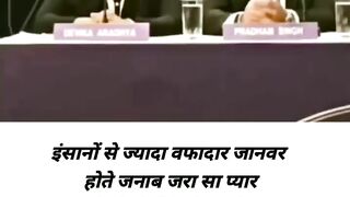 Best video