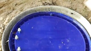 Creative DIY Quail Bird Trap Using U-90 Bottle - #Video Shorts