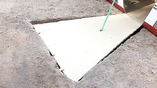 very best bird trap make with cardboard box #shorts