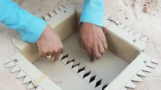 Easy DIY Making Quail Trap - Bird Trap #shortsvideo