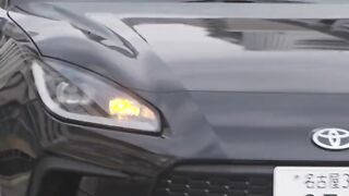 Toyota car world wide