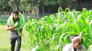 KING COBRA SNAKE PRANK ON GRANDPA Part 68 ! EMTIAZ