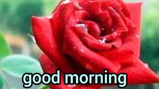 Good morning