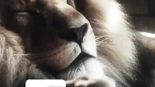 قصه العبرة❤️❤️❤️