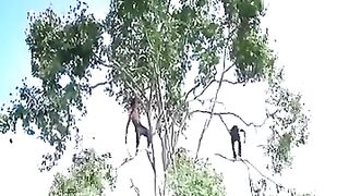 Amazing Video