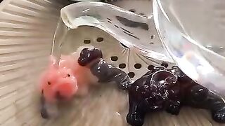 Resin change color tea pet