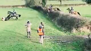 Horus jumping