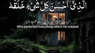 Beautiful houses