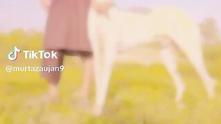 Dog hunting group and shikar club in punjab and sindh