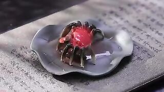 Cute change color crab tea pet ????