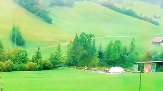 Nature view