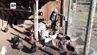 CDC director explains latest bird flu outbreak.