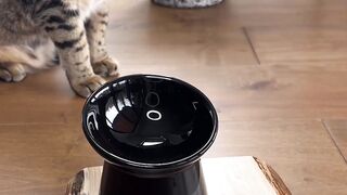 It’s Wednesday which brings us to another episode of What’s In Your Bowl? ????????
