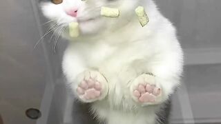 ????????????????