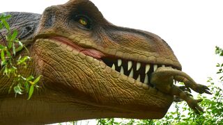 DINOSAUR 1