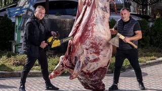 BUFFALO MEAT on CHARCOAL GRILL. COOKING 500 kilo BUFFALO. ENG SUB