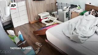 Moment owner and her dogs were woken up by Taiwan earthquake.