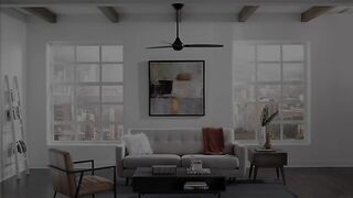 WAC Smart Fans Blitzen Indoor and Outdoor 3-Blade Ceiling Fan 54in Matte Black with Remote Control works with Alexa and iOS or Android App