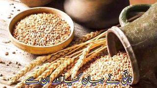 مقدار الفطر