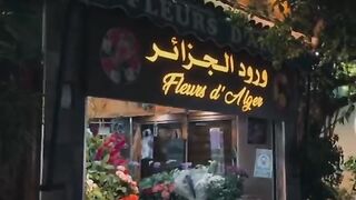 Algeria tourism