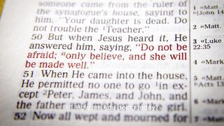 Give Jesus Your Worship