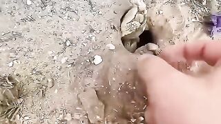 This man saved a tortoise and nurtured it